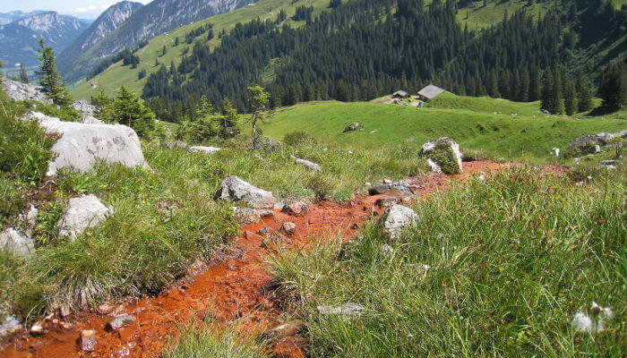 Rote Quelle Gimmi zwischen Wiesen und Steinen im Sommer
