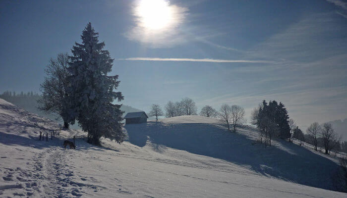 Schneebedeckte Winterlandschaft in der Wintersonne