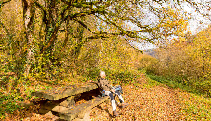 Holzbank mit Frau am Waldrand im Herbst