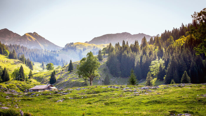 Friburger Berglandschaft im Sommer in der Urlandschaft Breccaschlund