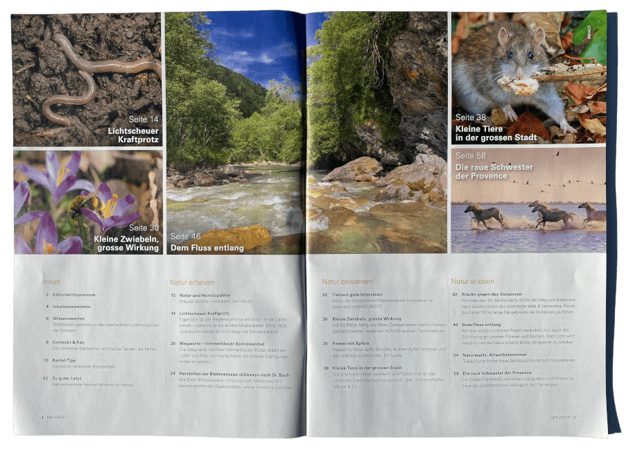 Inhaltsverzeichnis NATURZYT Herbst-Ausgabe 2026