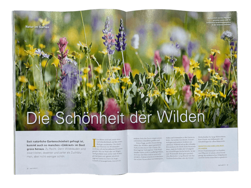 Natur im Garten-Reportage im NATURZYT Magazin Sommer-Ausgabe 2026