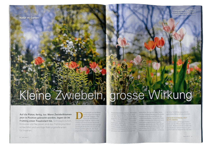 Natur im Garten-Reportage im NATURZYT Magazin Herbst-Ausgabe 2026