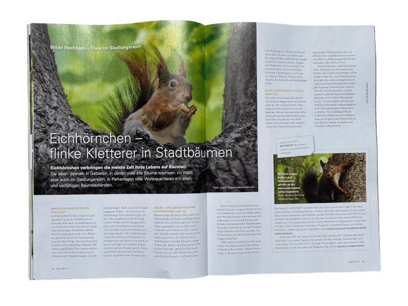 Naturprojekt-Reportage im NATURZYT Magazin Frühlings-Ausgabe 2026
