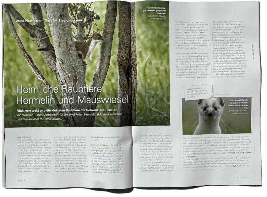 Naturprojekt-Reportage im NATURZYT Magazin Frühlings-Ausgabe 2026