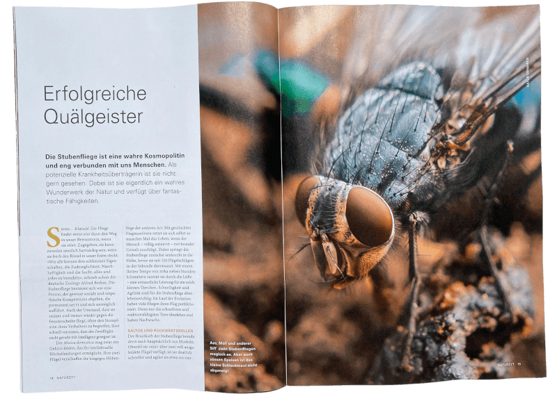 Wildtierreportage NATURZYT Magazin Sommer-Ausgabe