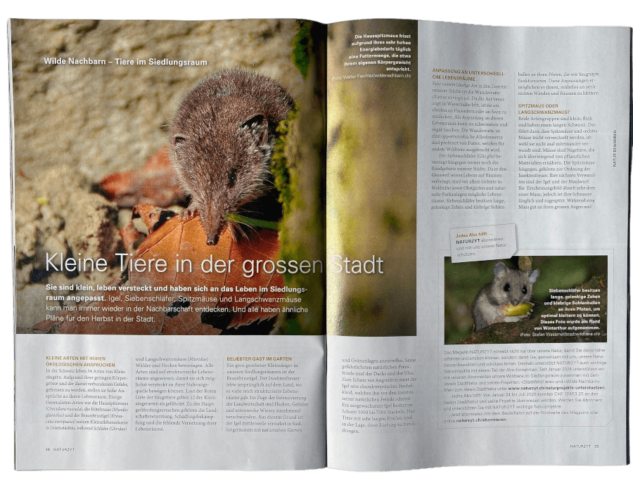 Naturprojekt-Reportage im NATURZYT Magazin Herbst-Ausgabe 2026