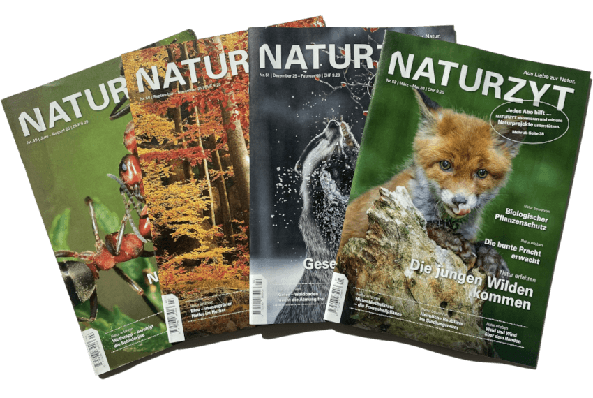 NATURZYT Magazin aktuelle AUsgaben