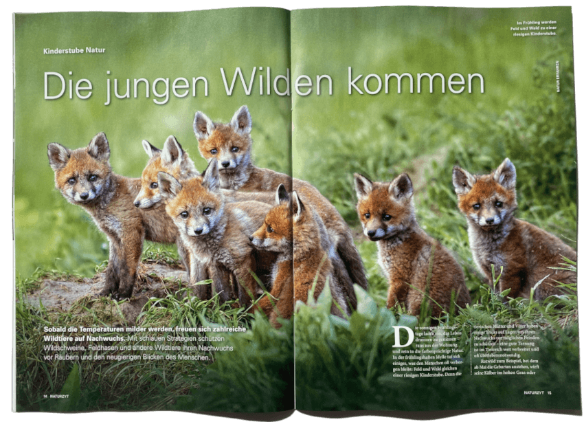 Wildtierreportage NATURZYT Magazin Frühlings-Ausgabe