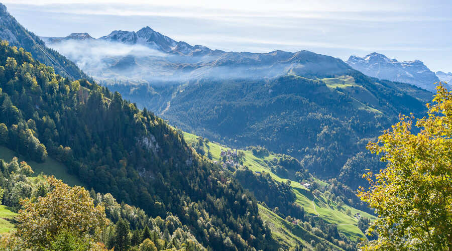 Bergehänge mit Tannenwälder im Sommer