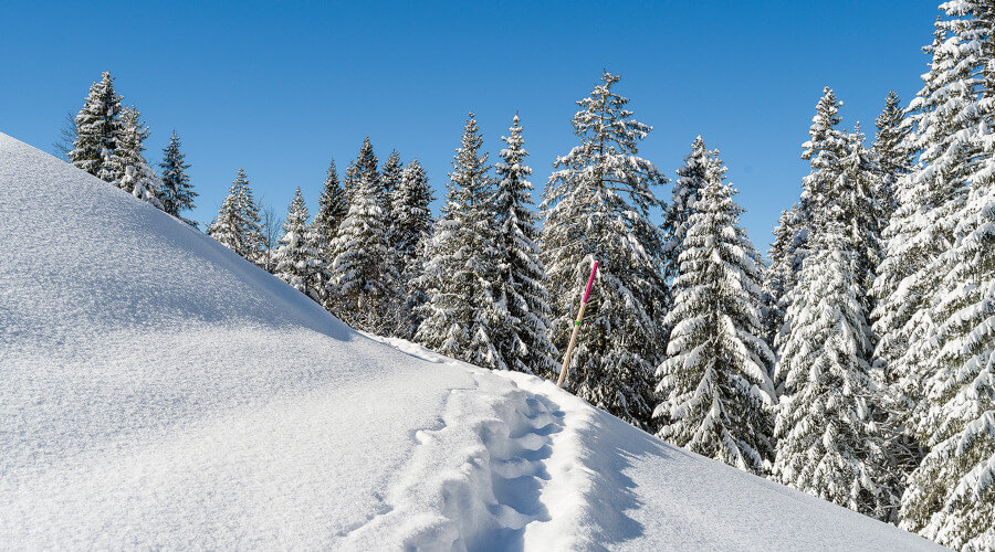 Trampelpfad in tiefen Schnee bei Sonnenschein