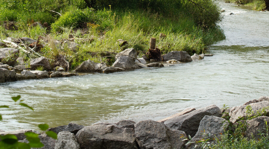 Fliessender Fluss durch grüne Wiesen und Wald