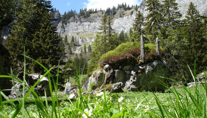 Kleine Hügel mit Steinen im Sommer im Diemtigtal