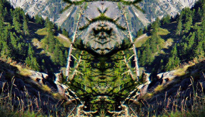 Gnom in der Natur im Wallis