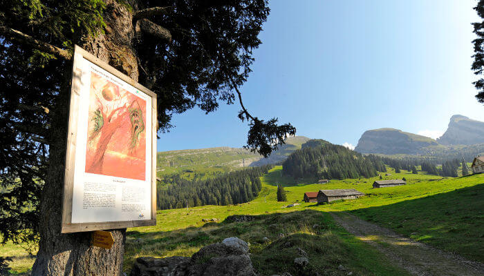 Tafel des Sagenweg Toggenburg mit schönen Bergwiesen