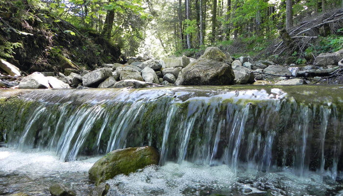 Kleiner Wasserfall mitten im Wald über einige Steine
