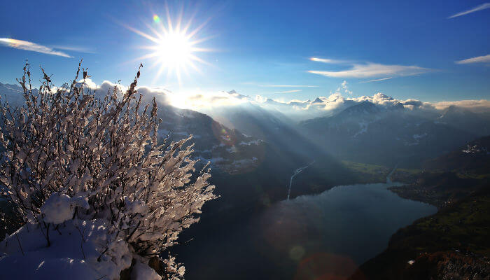 Verschneites Gestrüb mit Sicht auf See und Winterberberg