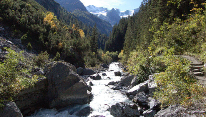 Talkessel Trafoier mit reisendem Fluss durch Tal und Wälder