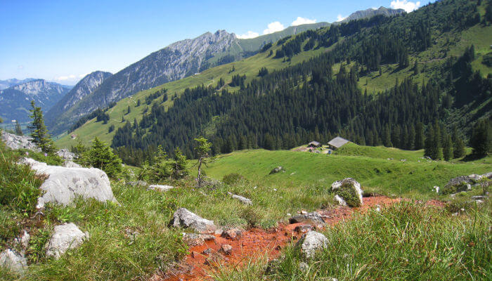 Grimmiwasser-Quelle in sonniger Bergwelt