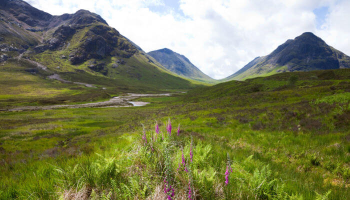Berge und Hügel mit Wiesen im Glencoe Tal