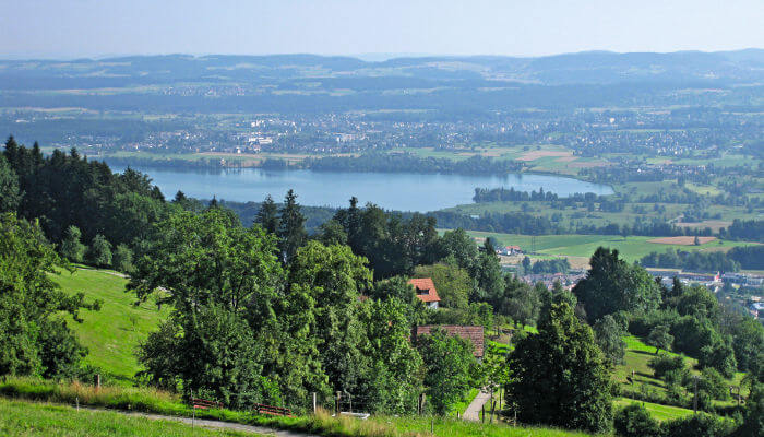 Bäume am Pfannenstiel mit Sicht auf den Greifensee