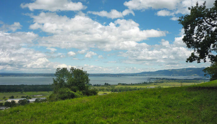 Hügellandschaft mit Seeblick im Sommer ab dem Buechberg