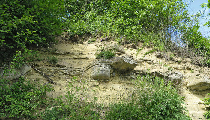 Sandsteinwand mitten im Wald