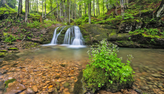 Wasserfall Wengibach