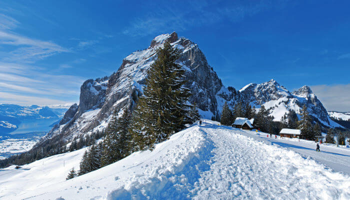 Schneebedeckter Winterwanderweg auf der Rotenflue