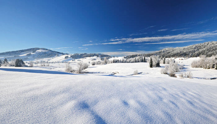 Schneebedecktes Hochmoor Rothenthurm Winter