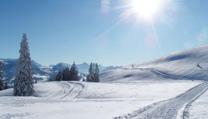 Schneebedeckter Weg auf der Sparenmoos Wanderung