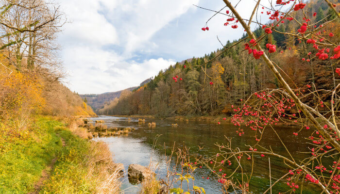 Waldhänge und im Tal der Fluss Doubs im Herbst