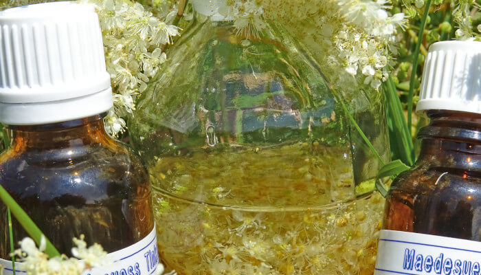 Abgefüllte Tinkturen in braunen kleinen Flaschen und Einmachglas mit Blüten