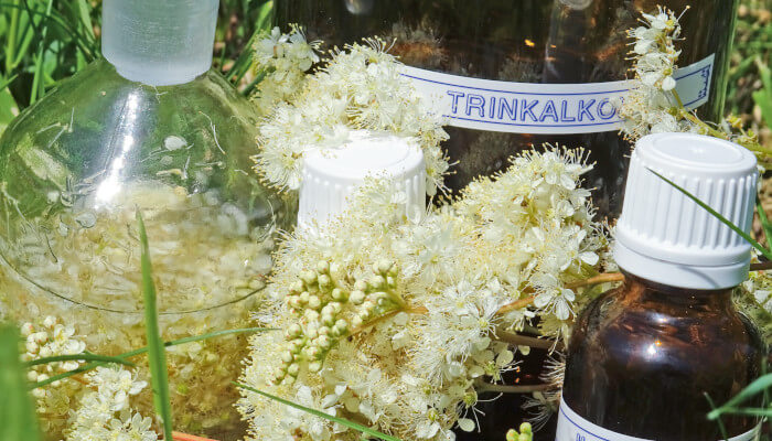 Einmachglas und braunen kleinen Flaschen mit weisen Blüten der Wiesenkönigin