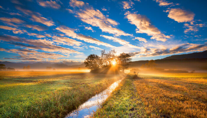 Morgenstimmung im Ruggeller Riet bei Sonnenaufgang