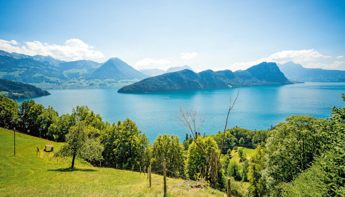 Blick auf den See über Felder und Bäumen in Vitznau Luzern im Sommer