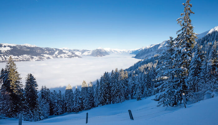 Blick durch verschneite Landschaft auf den in Nebel liegenden Thunersee