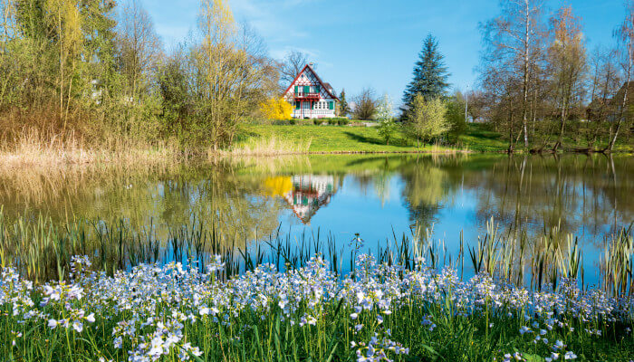 Blumenwiese vor See in Güttingerwald