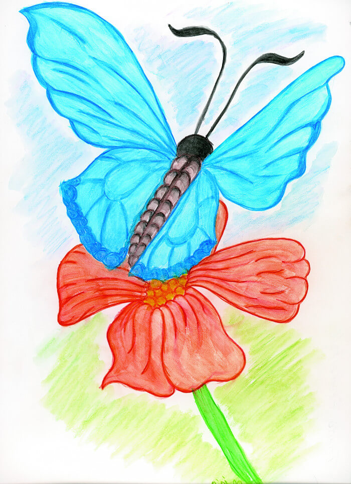 Illustration eines Schmetterling mit blauen Flügel