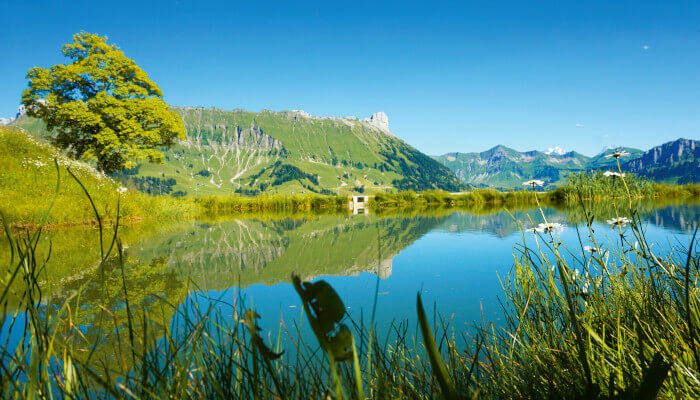 Schöner Bergsee spiegelt in der Sonne auf der Marbachegg