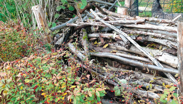 Viele braune Äste liegen im Garten aufeinander