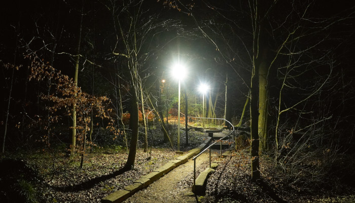 Beleuchteter Gehweg im Wald in der Nacht mit Laternen