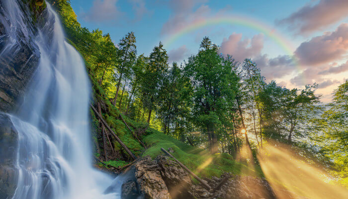 Regenbogen über Wald vor einem Wasserfall im Sommer