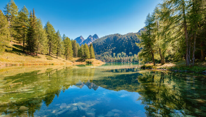 Bergsee umgeben von Bäumen und Wäldern im Sommer