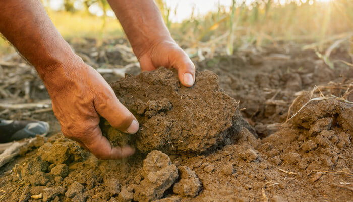 Zwei Hände die einen grossen Erdklumpen aufnehmen