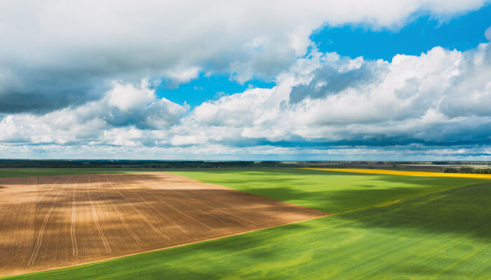 Aufnahme aus einem Flugzeug über Felder und Wiesen