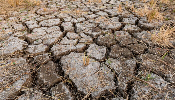 Trockene Erde mit vielen Rissen im Sommer