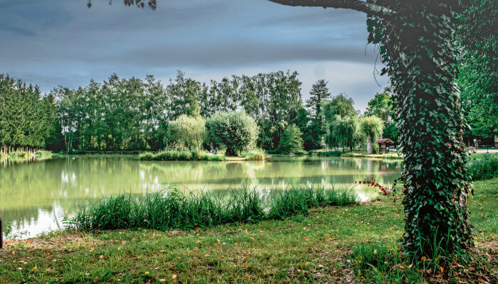 Grüne Wiese vor Fluss und Baumgruppe
