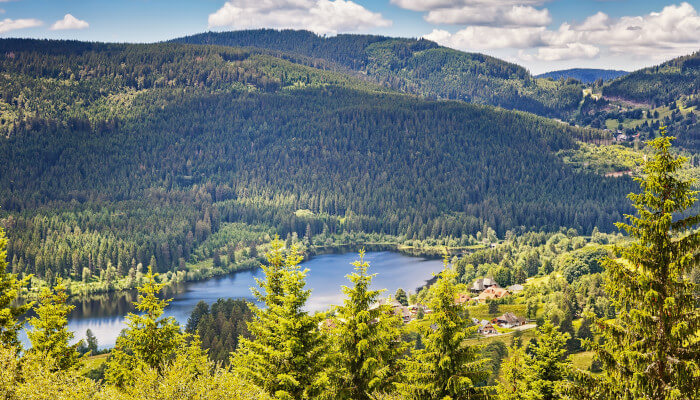 Hügel mit Wälder und ein Tal wo der Fluss fliesst