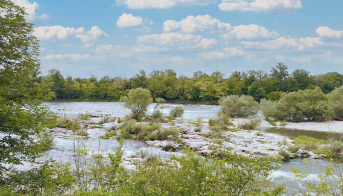 Flusslandschaft mit Sträuchern und Bäumen im Sommer